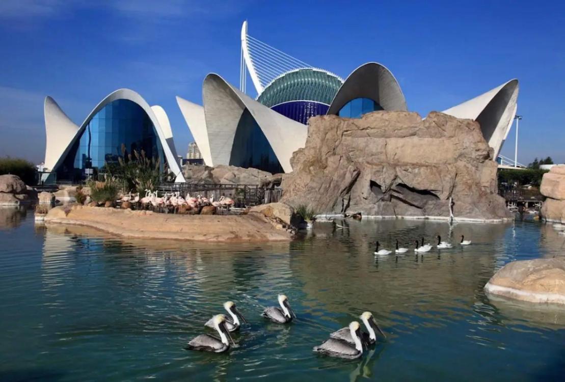 Lovely Apartment Near Beach & Science City فالنسيا المظهر الخارجي الصورة