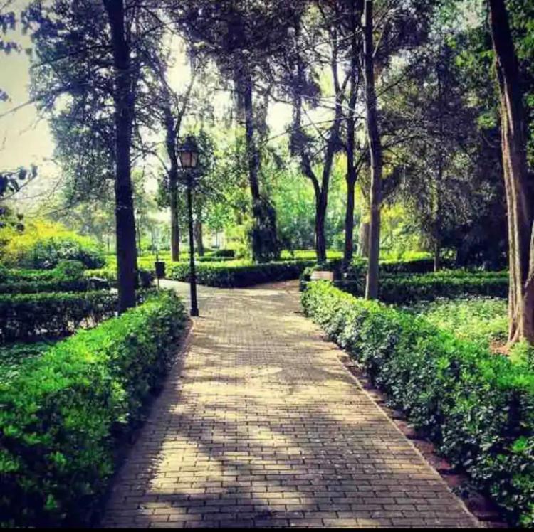 Lovely Apartment Near Beach & Science City فالنسيا المظهر الخارجي الصورة