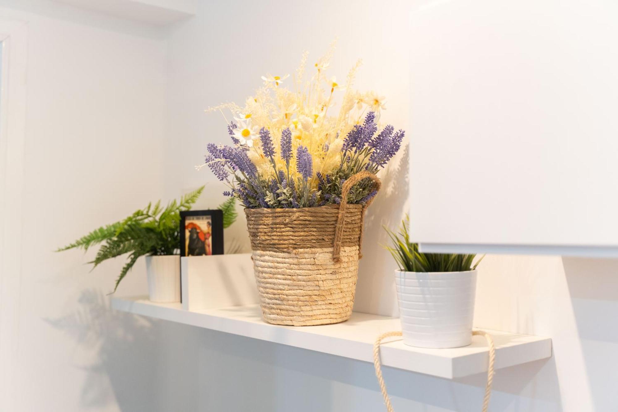 Lovely Apartment Near Beach & Science City فالنسيا المظهر الخارجي الصورة